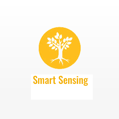 Smart Sensing
